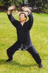 Master Park performing a Horse Riding Stance Movement