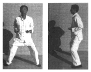 Palm Striking Sequence