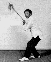 Master Park in a Blocking Posture with the Spear