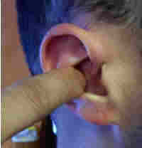 Photo: 3 - Rub along the inside surface of the ear.